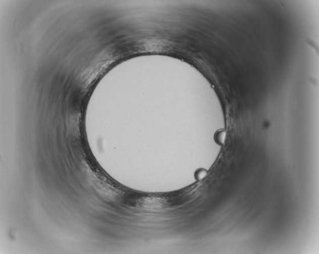 X0000103910154200810031221