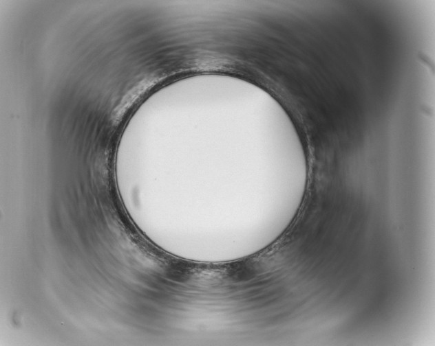 X0000103910155200810031221
