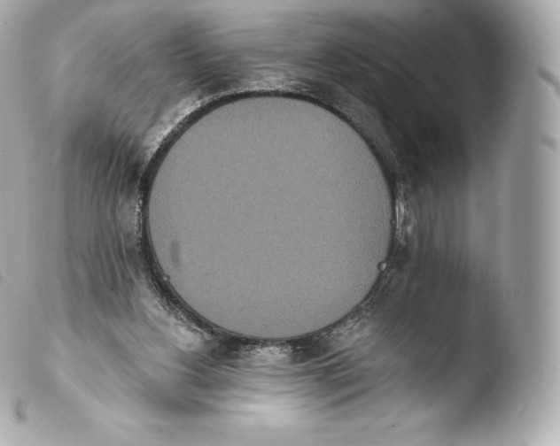 X0000103910156200810031221
