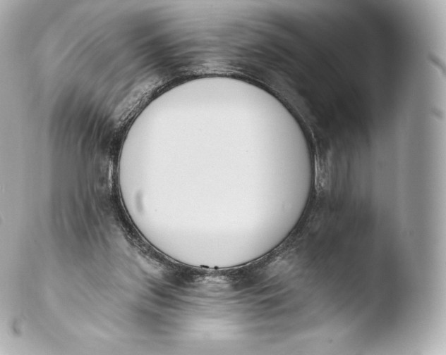 X0000103910157200810031221