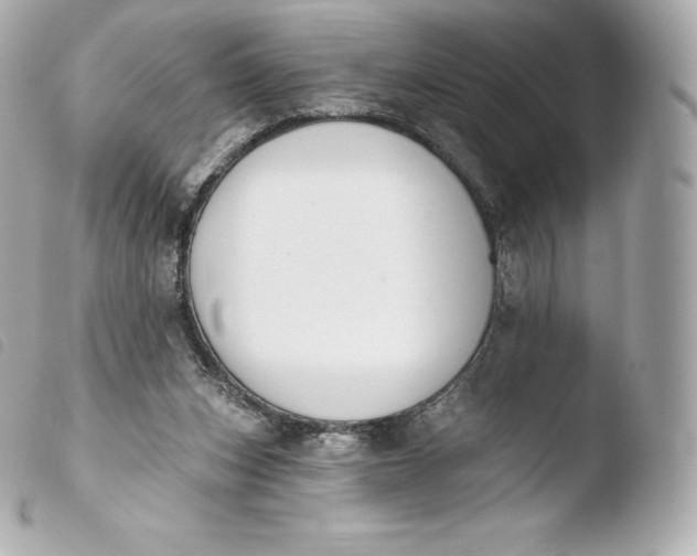 X0000103910159200810031221