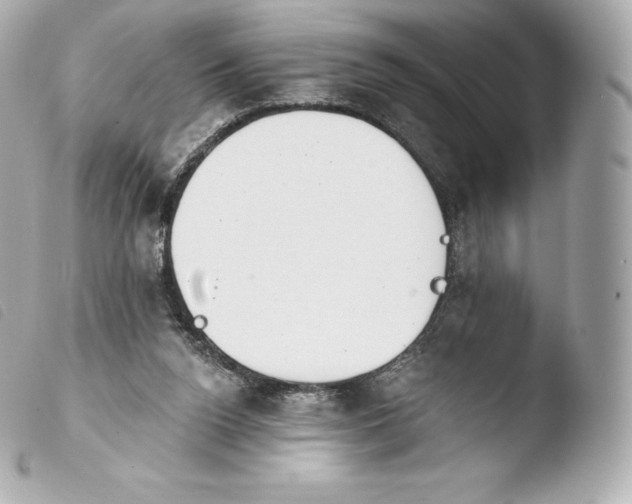X0000103910160200810031221