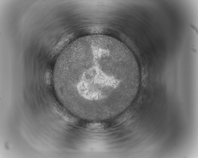 X0000103910161200810031221