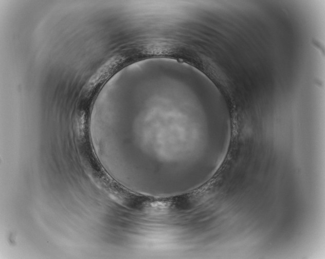 X0000103910163200810031221
