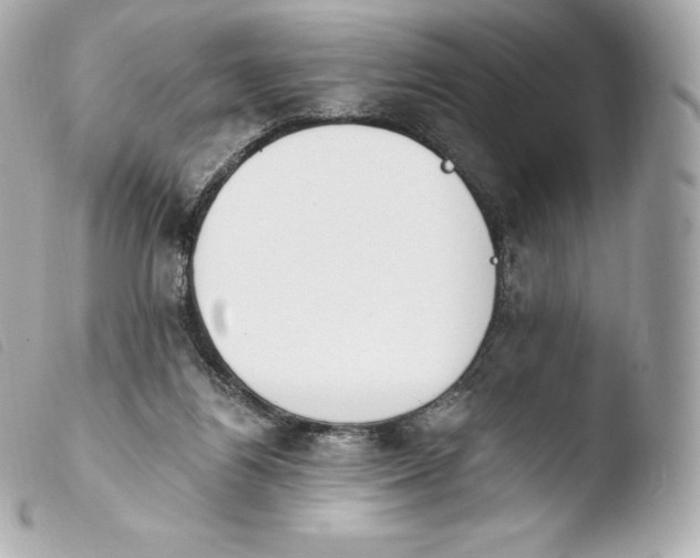 X0000103910164200810031221