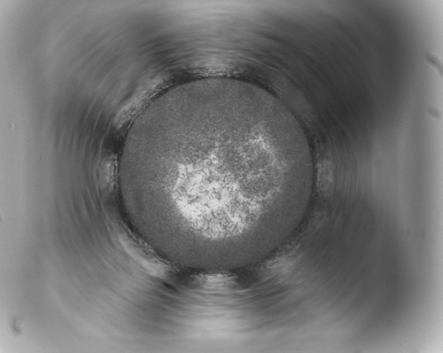 X0000103910165200810031221