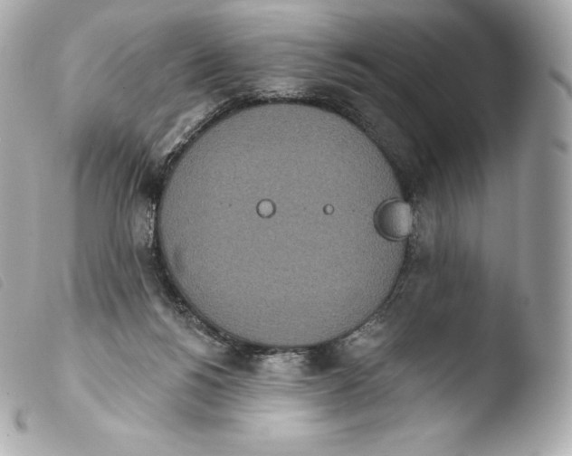 X0000103910168200810031221
