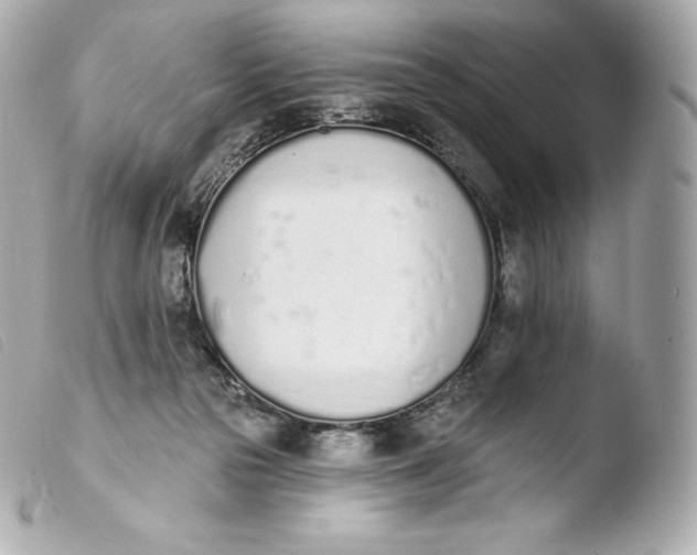 X0000103910169200810031221
