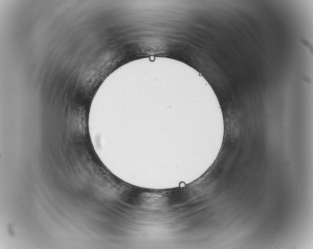X0000103910170200810031221