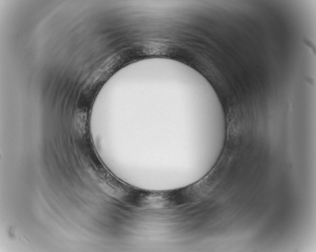 X0000103910171200810031221