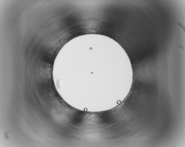 X0000103910174200810031221