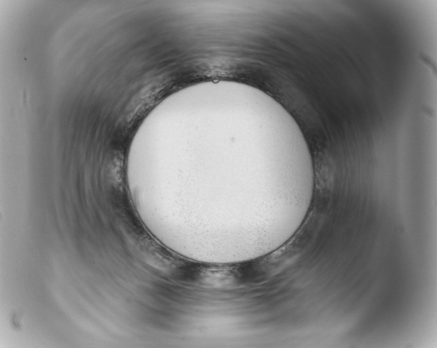 X0000103910175200810031221