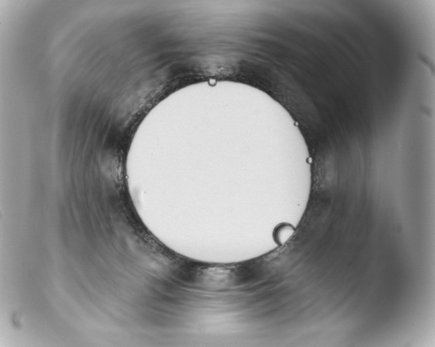 X0000103910176200810031221