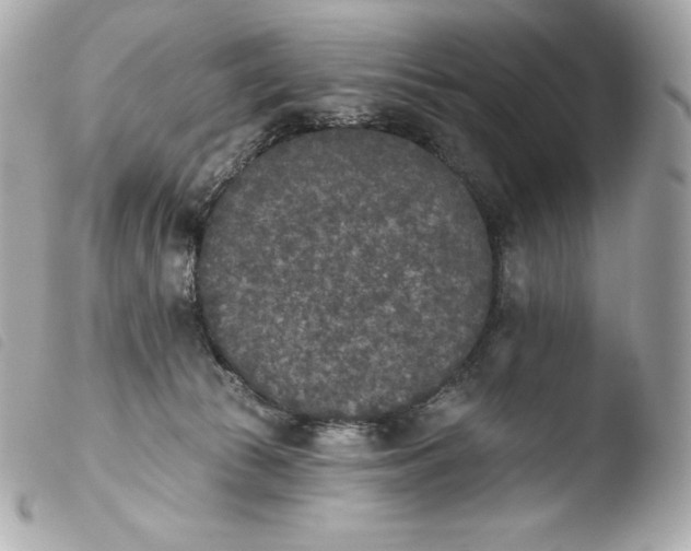 X0000103910177200810031221