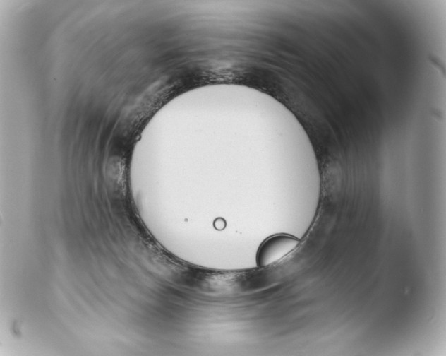 X0000103910178200810031221