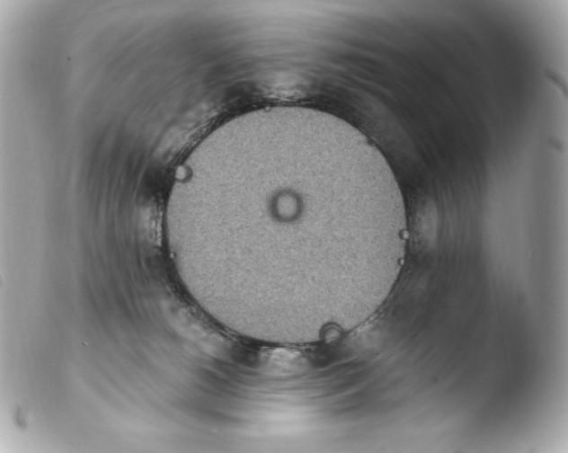 X0000103910180200810031221
