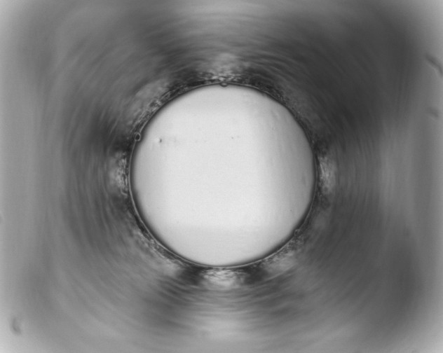 X0000103910181200810031221