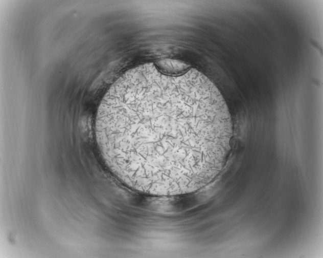 X0000103910182200810031221