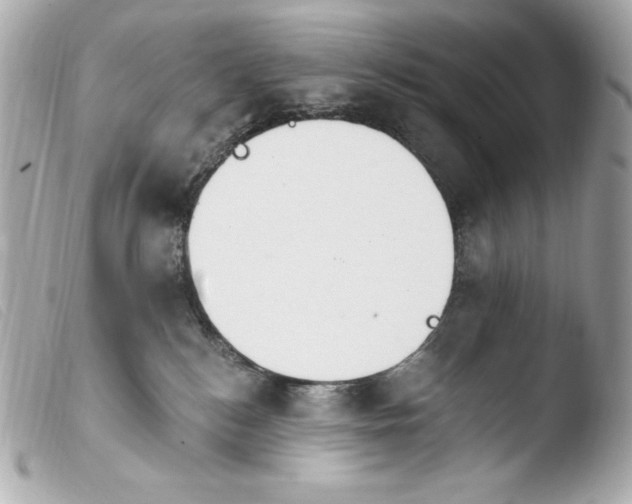 X0000103910184200810031221