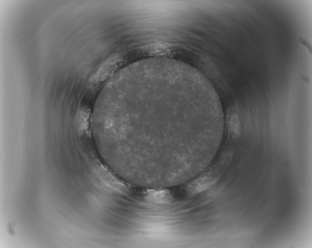 X0000103910185200810031221