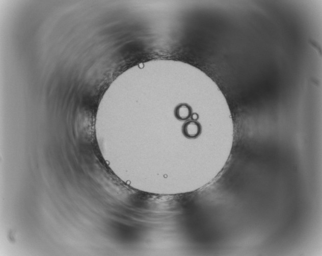 X0000103910186200810031221