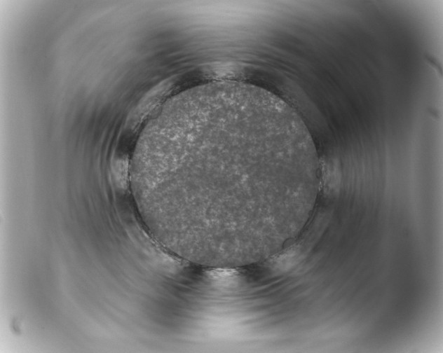 X0000103910189200810031221