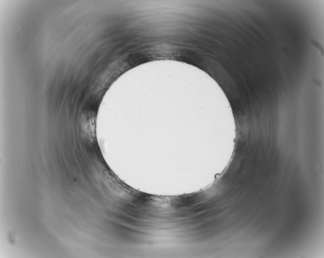 X0000103910190200810031221