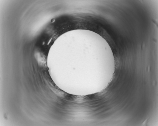 X0000103910191200810031221