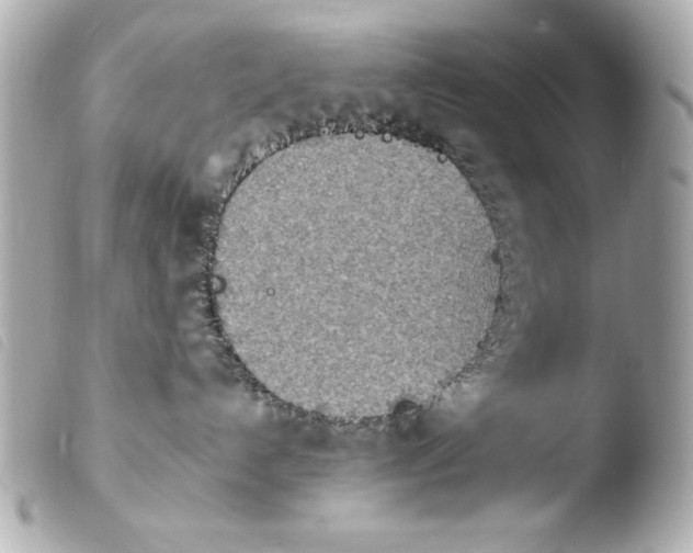 X0000103910192200810031221