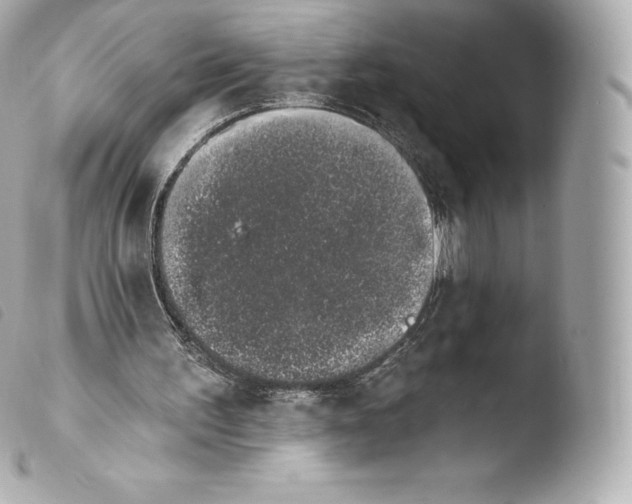 X0000103910195200810031221
