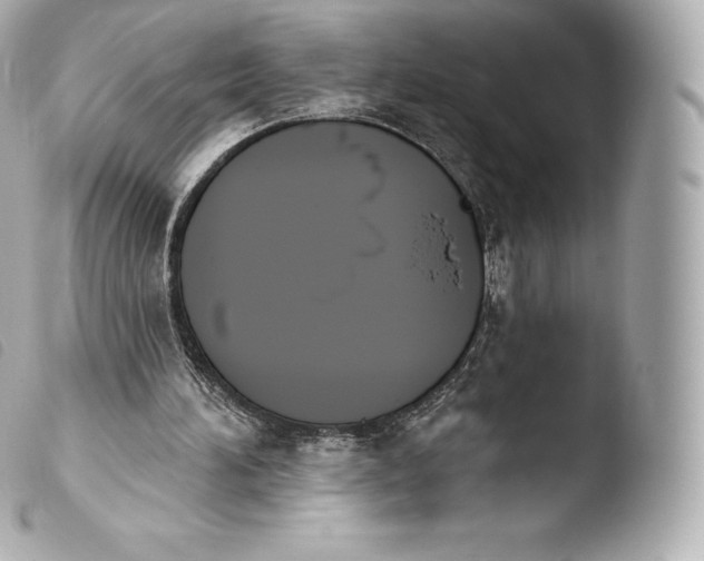 X0000103910196200810031221