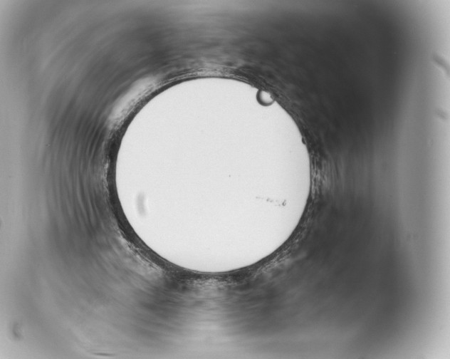X0000103910197200810031221