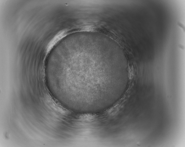 X0000103910198200810031221