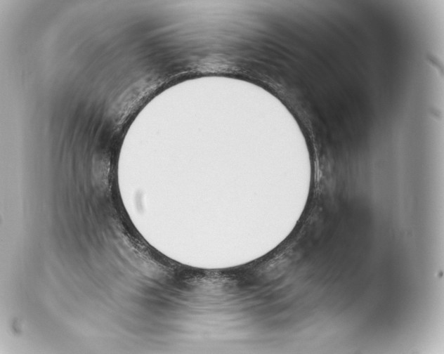 X0000103910201200810031221