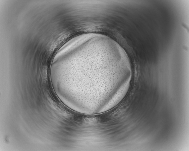 X0000103910202200810031221