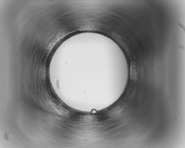 X0000103910204200810031221