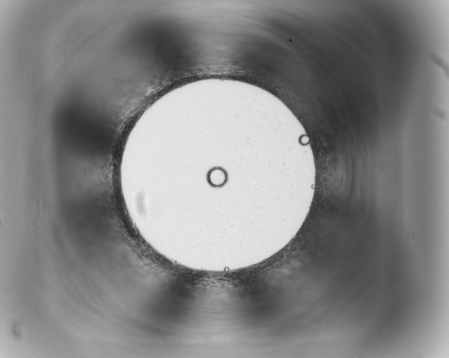 X0000103910207200810031221