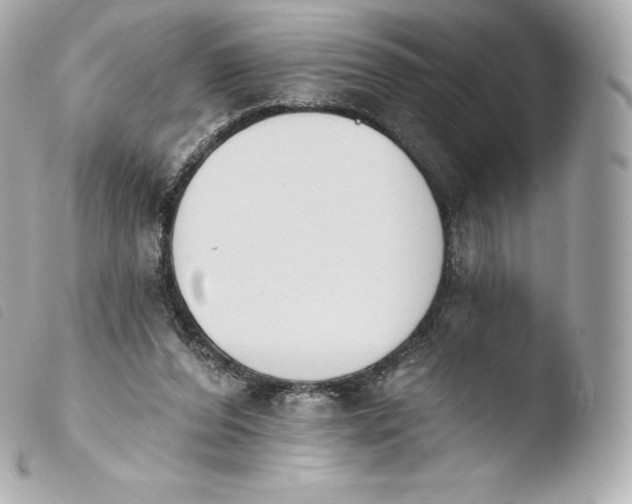 X0000103910208200810031221