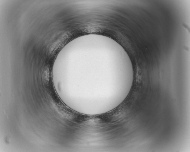 X0000103910210200810031221