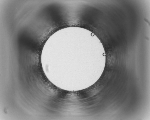 X0000103910211200810031221