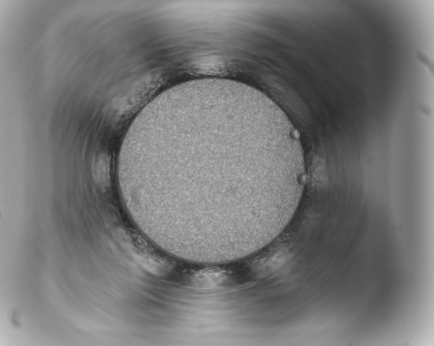 X0000103910213200810031220