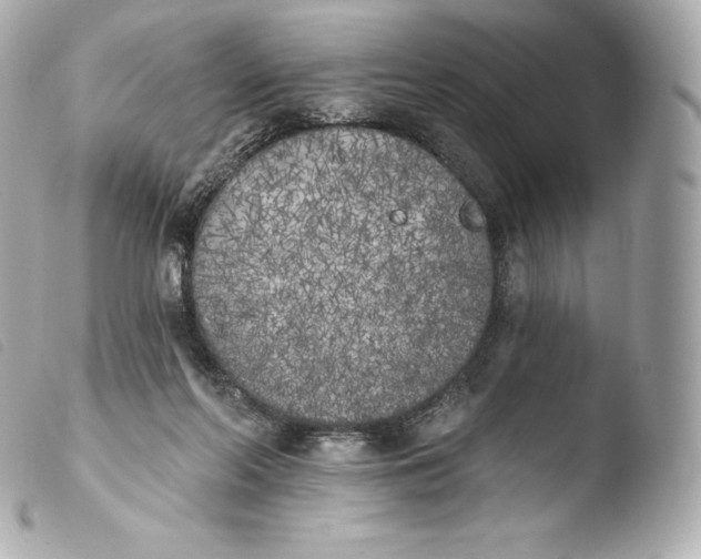 X0000103910214200810031220