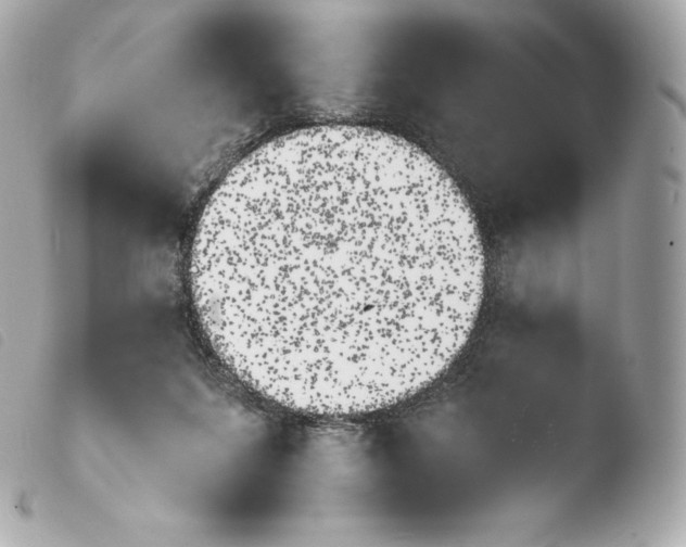 X0000103910215200810031220