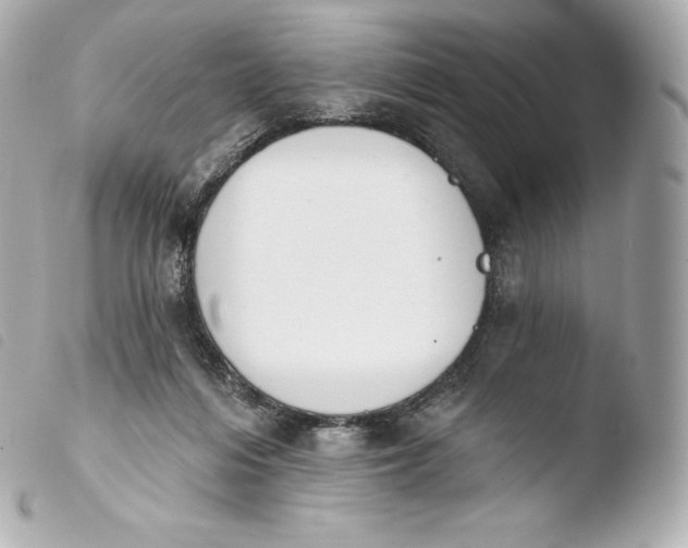 X0000103910216200810031220
