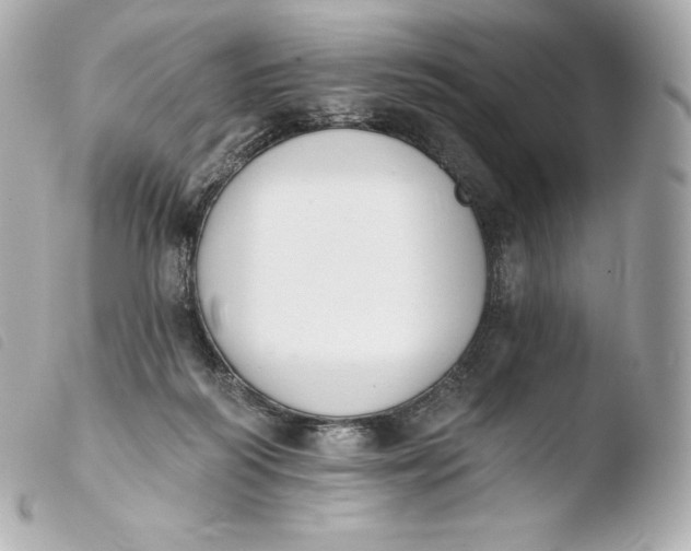 X0000103910218200810031220