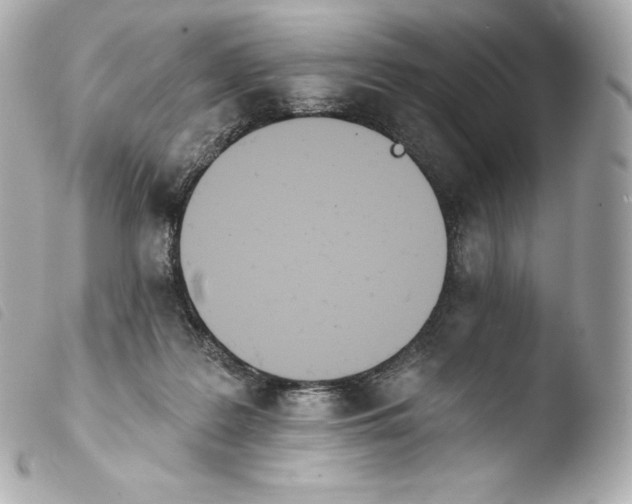 X0000103910219200810031220