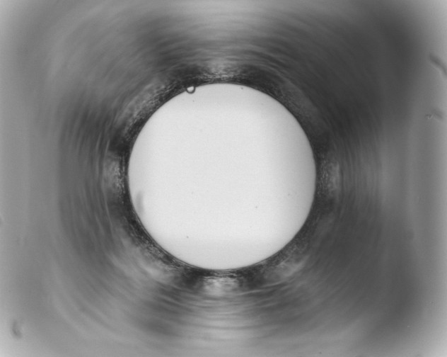 X0000103910220200810031220