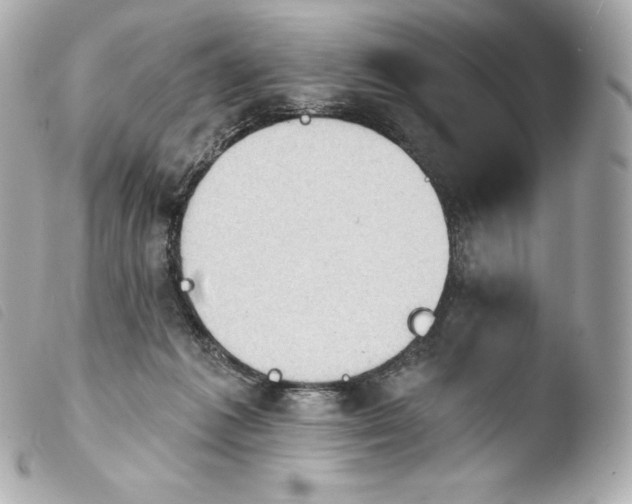 X0000103910221200810031220