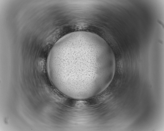 X0000103910222200810031220