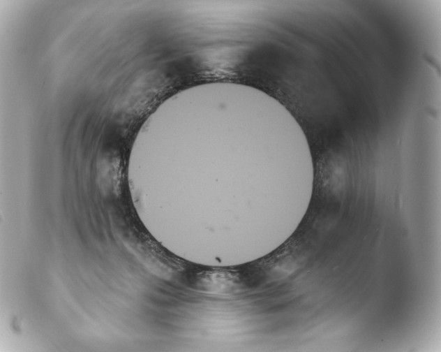 X0000103910223200810031220
